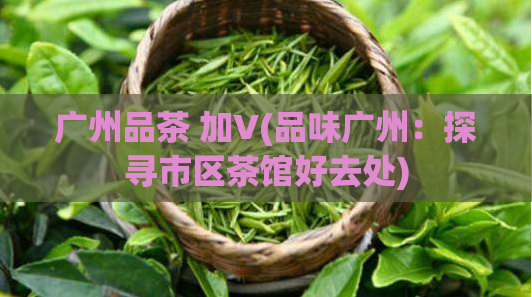 广州品茶 加V(品味广州：探寻市区茶馆好去处)