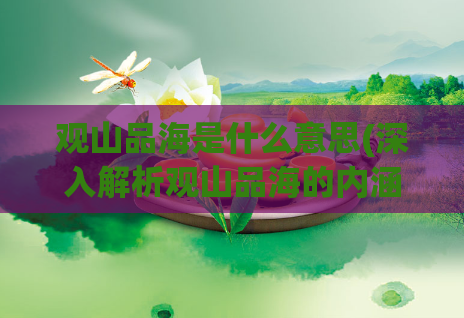观山品海是什么意思(深入解析观山品海的内涵，探究其含义)