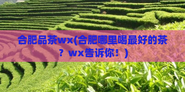 合肥品茶wx(合肥哪里喝最好的茶？wx告诉你！)