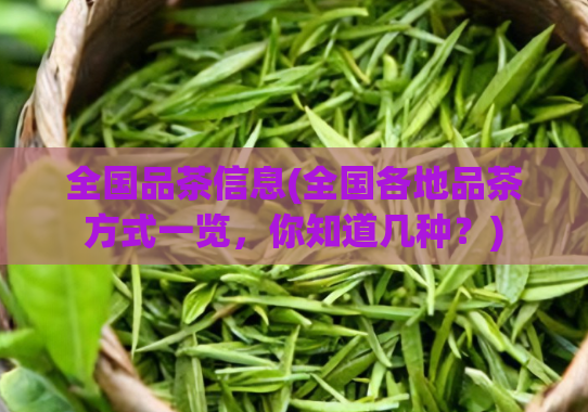全国品茶信息(全国各地品茶方式一览，你知道几种？)