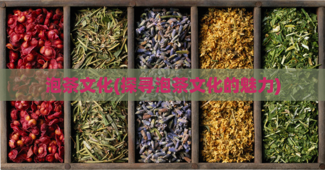 泡茶文化(探寻泡茶文化的魅力)