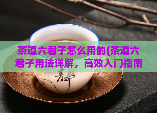 茶道六君子怎么用的(茶道六君子用法详解，高效入门指南)
