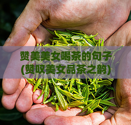 赞美美女喝茶的句子(赞叹美女品茶之韵)