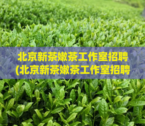 北京新茶嫩茶工作室招聘(北京新茶嫩茶工作室招聘，快来加入我们吧！)