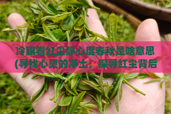 冷眼看红尘静心度春秋是啥意思(寻找心灵的净土,探寻红尘背后的真谛!)