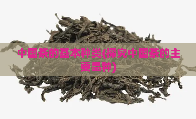 中国茶的基本种类(探究中国茶的主要品种)