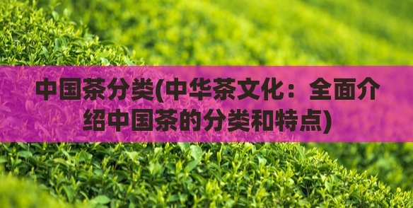 中国茶分类(中华茶文化：全面介绍中国茶的分类和特点)