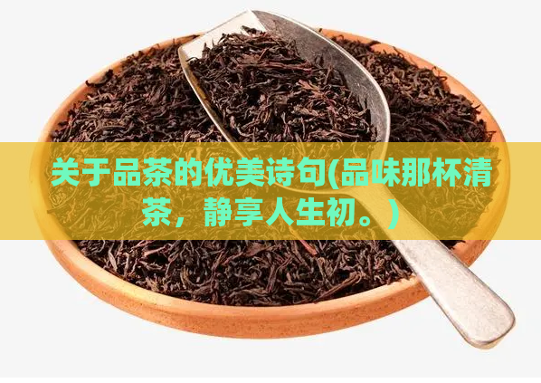 关于品茶的优美诗句(品味那杯清茶，静享人生初。)