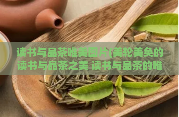 读书与品茶唯美图片(美轮美奂的读书与品茶之美 读书与品茶的唯美结合)
