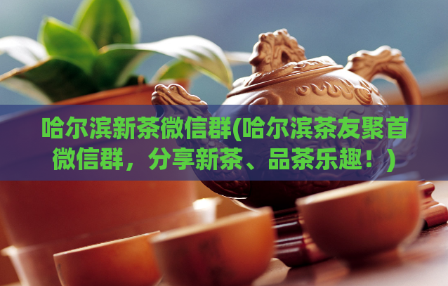 哈尔滨新茶微信群(哈尔滨茶友聚首微信群，分享新茶、品茶乐趣！)