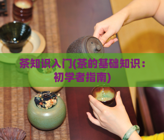 茶知识入门(茶的基础知识：初学者指南)