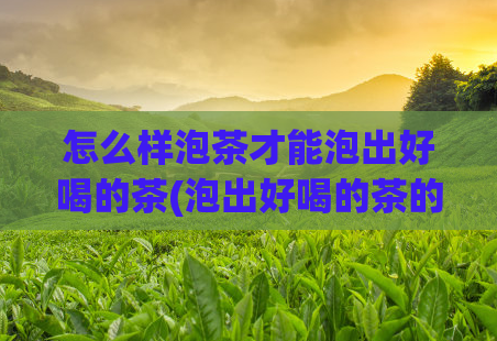 怎么样泡茶才能泡出好喝的茶(泡出好喝的茶的方法，这样泡茶最棒了)