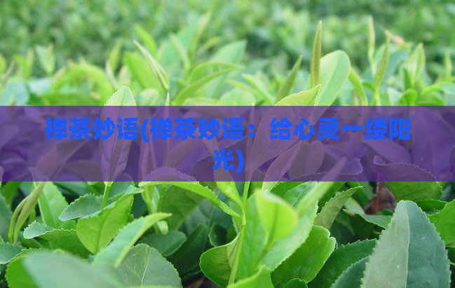 禅茶妙语(禅茶妙语：给心灵一缕阳光)