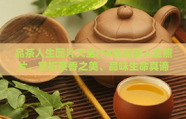 品茶人生图片大全(54张品茶人生照片，赏析茶香之美、品味生命真谛)
