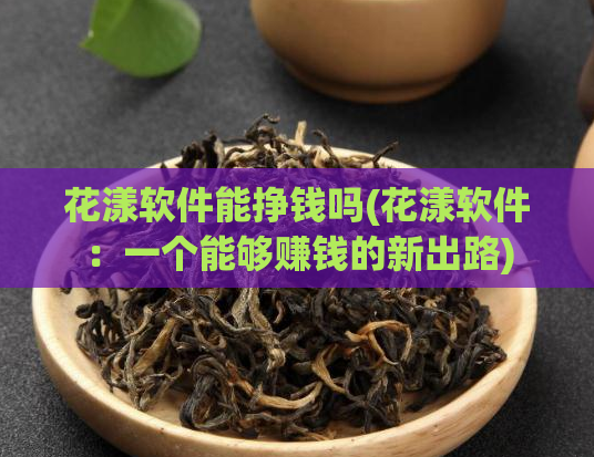 花漾软件能挣钱吗(花漾软件：一个能够赚钱的新出路)