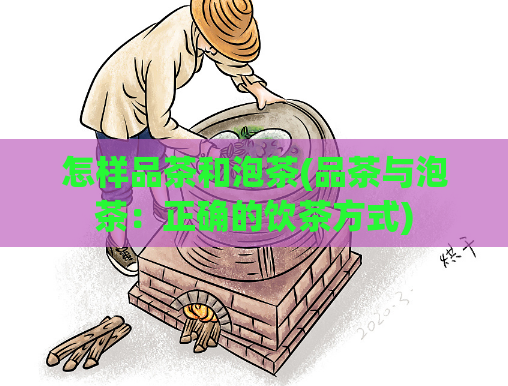 怎样品茶和泡茶(品茶与泡茶：正确的饮茶方式)