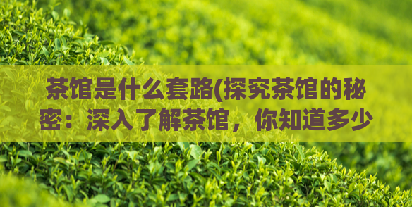 茶馆是什么套路(探究茶馆的秘密：深入了解茶馆，你知道多少？)