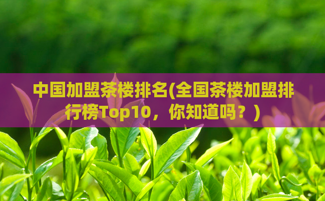中国加盟茶楼排名(全国茶楼加盟排行榜Top10，你知道吗？)