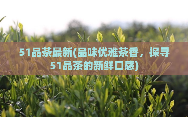 51品茶最新(品味优雅茶香，探寻51品茶的新鲜口感)
