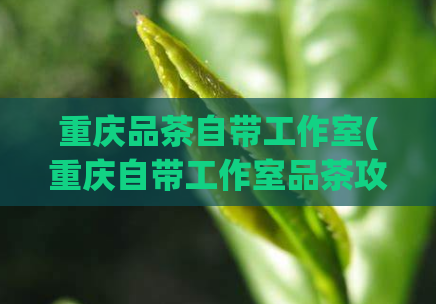 重庆品茶自带工作室(重庆自带工作室品茶攻略)