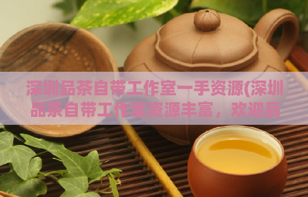 深圳品茶自带工作室一手资源(深圳品茶自带工作室资源丰富，欢迎品茶爱好者前来赏识)