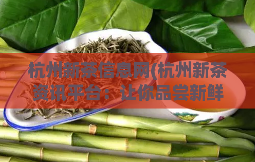 杭州新茶信息网(杭州新茶资讯平台：让你品尝新鲜茶叶的独特魅力)