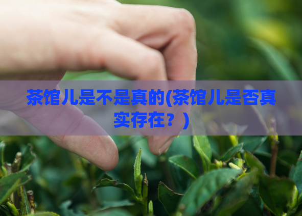 茶馆儿是不是真的(茶馆儿是否真实存在？)