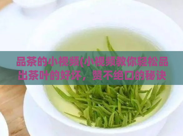 品茶的小视频(小视频教你轻松品出茶叶的好坏，赞不绝口的秘诀！)