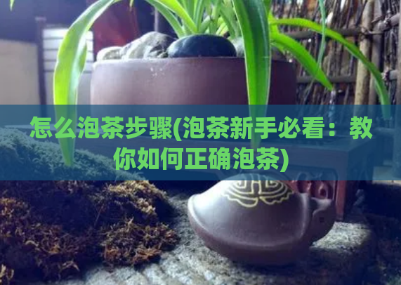 怎么泡茶步骤(泡茶新手必看：教你如何正确泡茶)