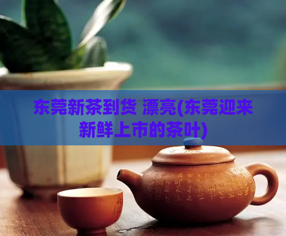 东莞新茶到货 漂亮(东莞迎来新鲜上市的茶叶)