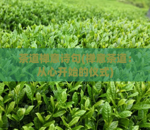茶道禅意诗句(禅意茶道：从心开始的仪式)