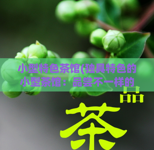 小型特色茶馆(独具特色的小型茶馆：品尝不一样的茶文化)