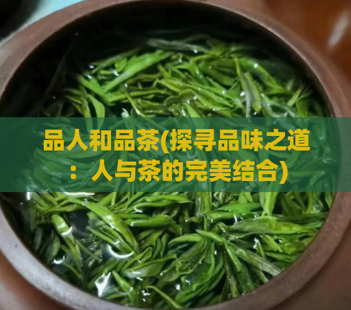 品人和品茶(探寻品味之道：人与茶的完美结合)