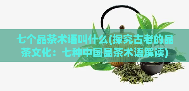 七个品茶术语叫什么(探究古老的品茶文化：七种中国品茶术语解读)