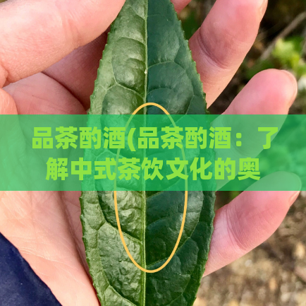 品茶酌酒(品茶酌酒：了解中式茶饮文化的奥秘)