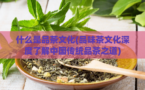 什么是品茶文化(品味茶文化深度了解中国传统品茶之道)