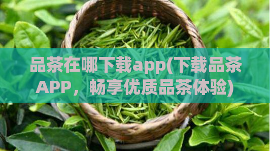 品茶在哪下载app(下载品茶APP，畅享优质品茶体验)