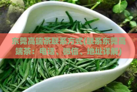 东莞高端茶联系方式(联系东莞高端茶:电话、微信、地址详解)