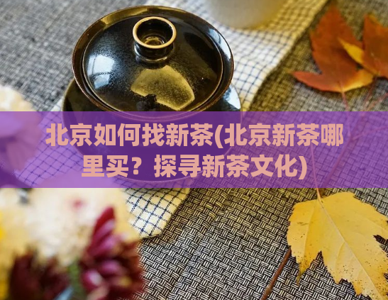 北京如何找新茶(北京新茶哪里买？探寻新茶文化)