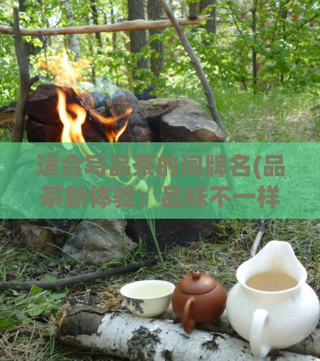适合写品茶的词牌名(品茶新体验:品味不一样的茶叶文化)