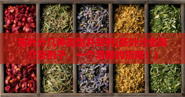茶叶分几种类型并举例(茶叶分类简介及例子,一个清晰的指南!)