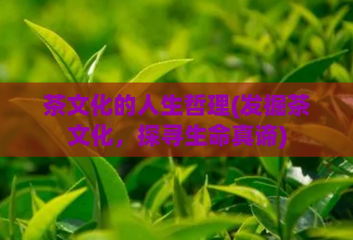 茶文化的人生哲理(发掘茶文化，探寻生命真谛)