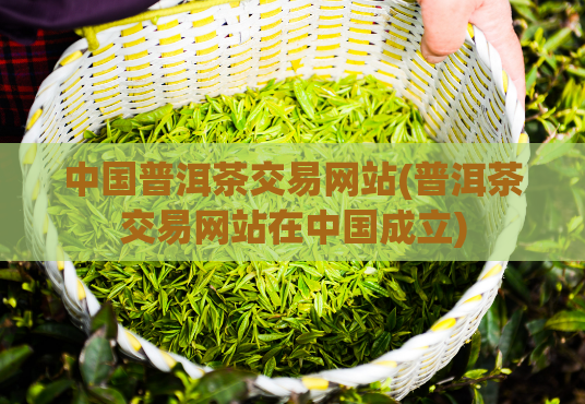 中国普洱茶交易网站(普洱茶交易网站在中国成立)