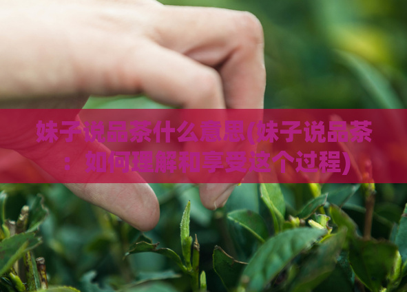 妹子说品茶什么意思(妹子说品茶：如何理解和享受这个过程)