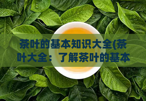 茶叶的基本知识大全(茶叶大全：了解茶叶的基本知识)