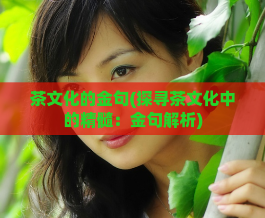 茶文化的金句(探寻茶文化中的精髓：金句解析)
