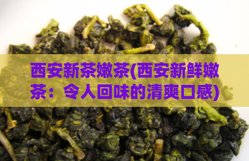 西安新茶嫩茶(西安新鲜嫩茶：令人回味的清爽口感)