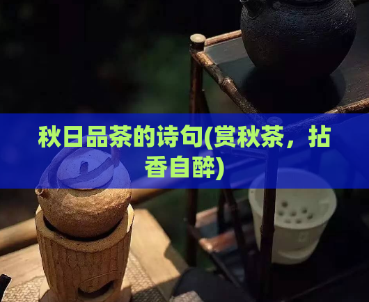 秋日品茶的诗句(赏秋茶，拈香自醉)