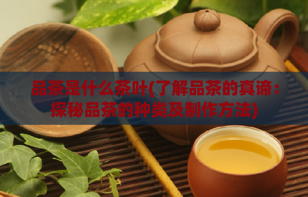 品茶是什么茶叶(了解品茶的真谛：探秘品茶的种类及制作方法)