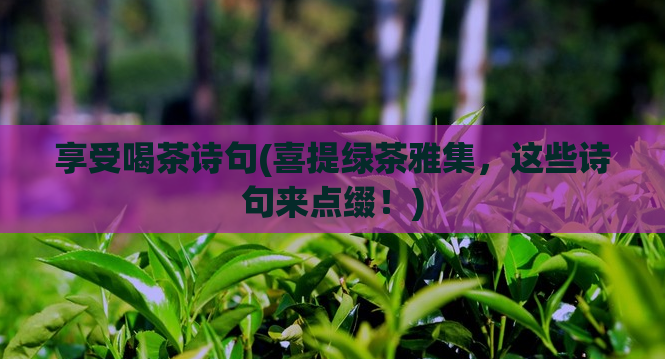 享受喝茶诗句(喜提绿茶雅集，这些诗句来点缀！)